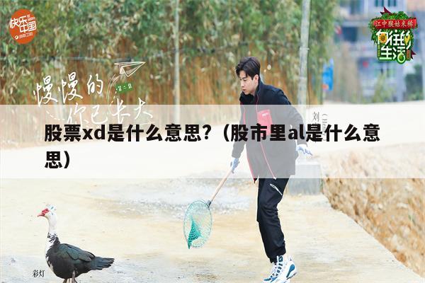 股票xd是什么意思?（股市里al是什么意思）