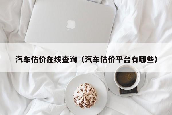 汽车估价在线查询（汽车估价平台有哪些）