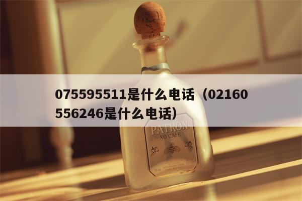 075595511是什么电话（02160556246是什么电话）