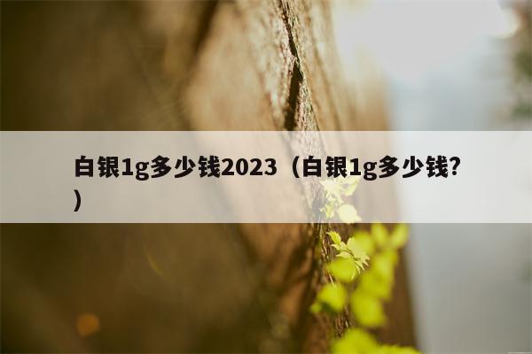 白银1g多少钱2023（白银1g多少钱?）