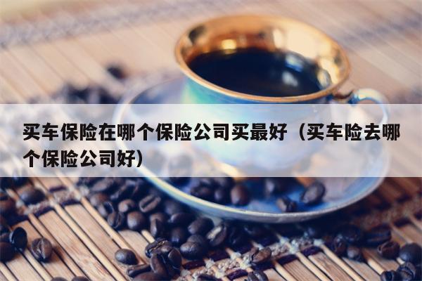 买车保险在哪个保险公司买最好（买车险去哪个保险公司好）