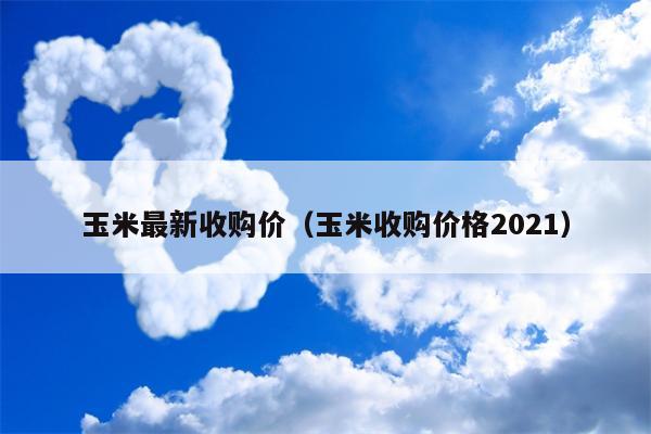 玉米最新收购价（玉米收购价格2021）