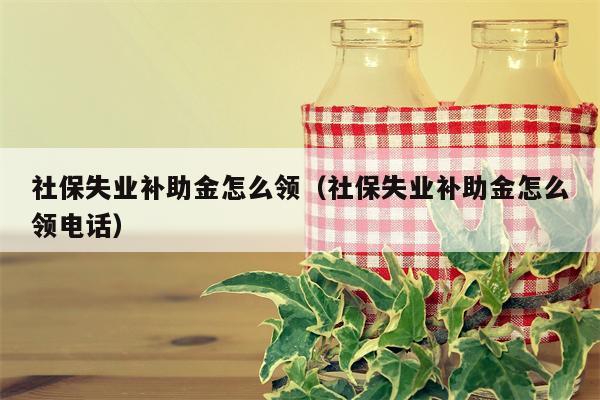 社保失业补助金怎么领（社保失业补助金怎么领电话）