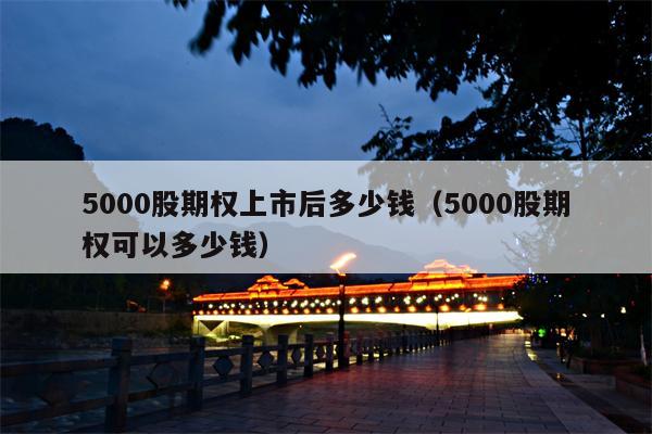 5000股期权上市后多少钱（5000股期权可以多少钱）