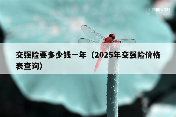 交强险要多少钱一年（2025年交强险价格表查询）