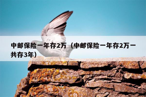 中邮保险一年存2万（中邮保险一年存2万一共存3年）