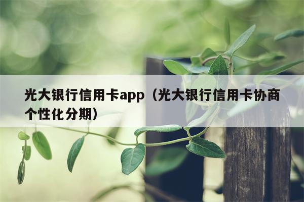 光大银行信用卡app（光大银行信用卡协商个性化分期）