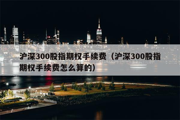 沪深300股指期权手续费（沪深300股指期权手续费怎么算的）