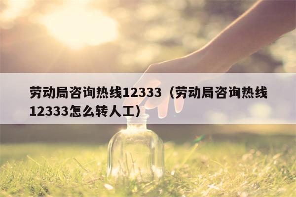 劳动局咨询热线12333（劳动局咨询热线12333怎么转人工）