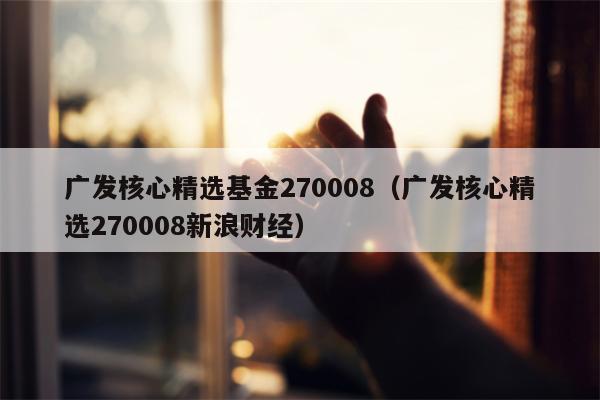 广发核心精选基金270008（广发核心精选270008新浪财经）