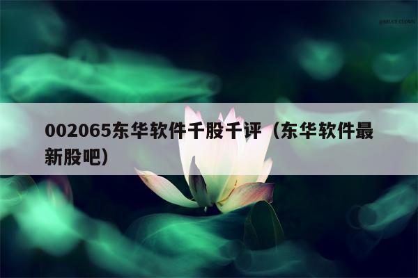 002065东华软件千股千评（东华软件最新股吧）