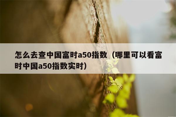 怎么去查中国富时a50指数（哪里可以看富时中国a50指数实时）