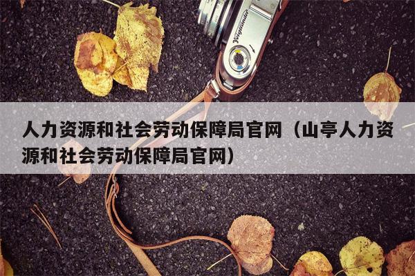 人力资源和社会劳动保障局官网（山亭人力资源和社会劳动保障局官网）