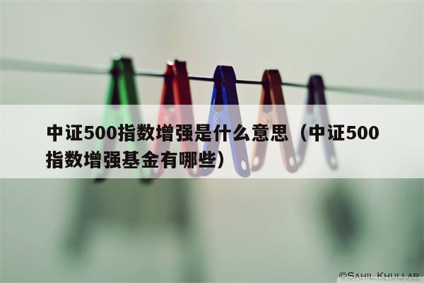 中证500指数增强是什么意思（中证500指数增强基金有哪些）