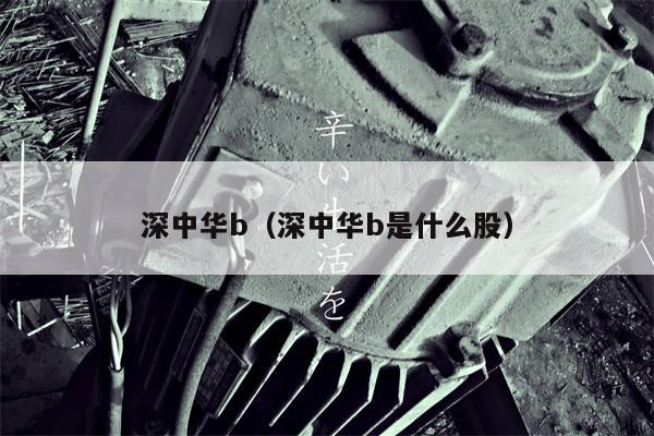 深中华b（深中华b是什么股）