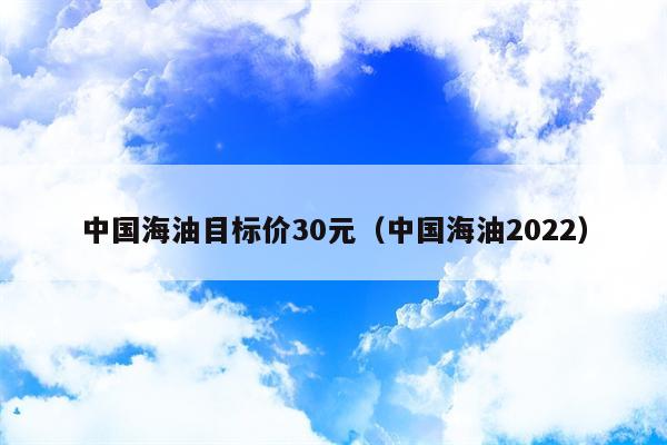 中国海油目标价30元（中国海油2022）