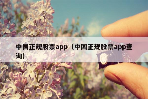 中国正规股票app（中国正规股票app查询）