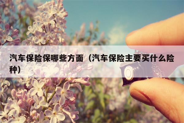 汽车保险保哪些方面（汽车保险主要买什么险种）