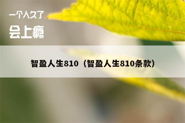 智盈人生810（智盈人生810条款）