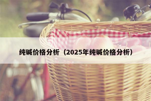 纯碱价格分析（2025年纯碱价格分析）