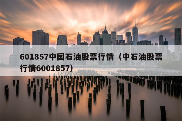 601857中国石油股票行情（中石油股票行情6001857）