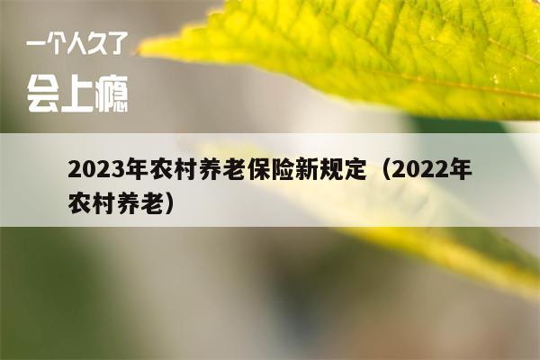 2023年农村养老保险新规定（2022年农村养老）