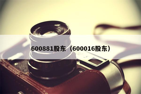 600881股东（600016股东）