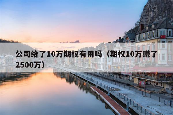 公司给了10万期权有用吗（期权10万赚了2500万）