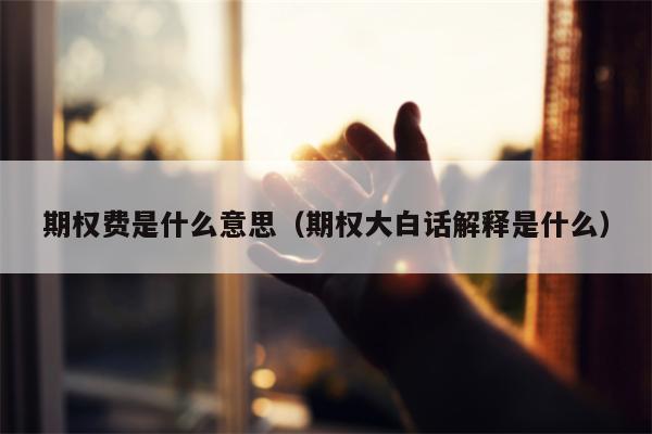 期权费是什么意思（期权大白话解释是什么）
