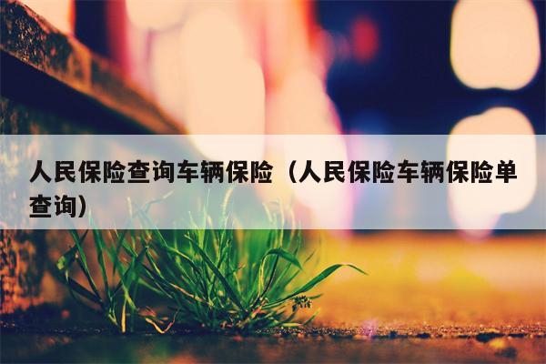 人民保险查询车辆保险（人民保险车辆保险单查询）