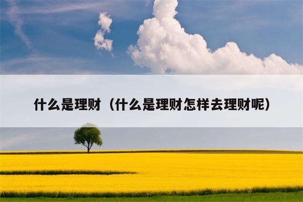 什么是理财（什么是理财怎样去理财呢）