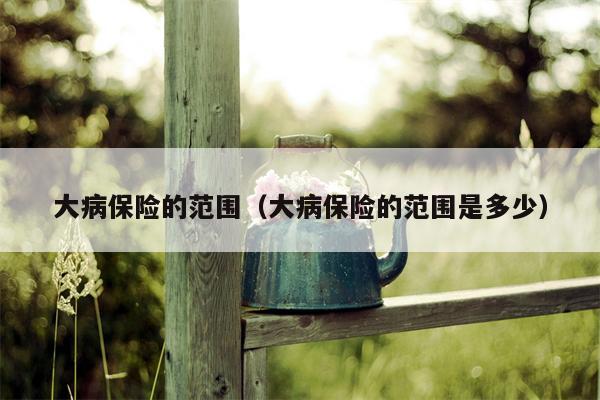 大病保险的范围（大病保险的范围是多少）