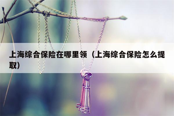 上海综合保险在哪里领（上海综合保险怎么提取）