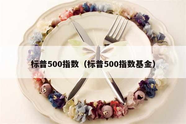 标普500指数（标普500指数基金）